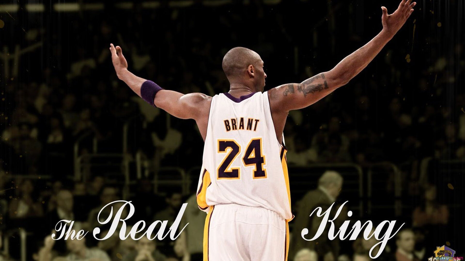 开云ios下载-未来F1会走向完全电动化吗？，fcd未来汽车比赛